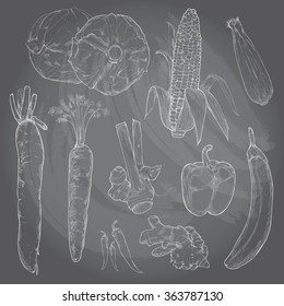 Collection of hand drawn vegetables, vector illustration chalk drawing style.