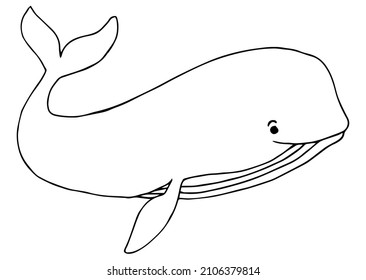 Collection Hand Drawn Whales Isolated On Stock Vector (Royalty Free ...