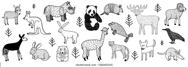 Collection of hand drawn wild animals.Black outline drawings isolated on white background.Set of different kind of animal. Doodle style.