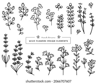 Collection of hand drawn wild flowers. Design elements for logo, frame, wreath, decoration, pattern, etc. Vector illustrations. 