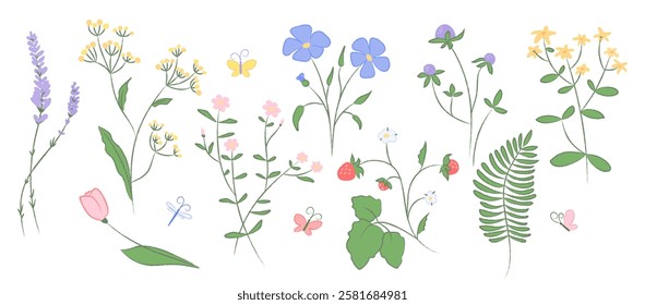 Collection of hand drawn wildflowers, butterflies. Delicate floral illustration with pencil texture in pastel colors. Decoration for spring, summer designs invitations, patterns, prints, greeting card