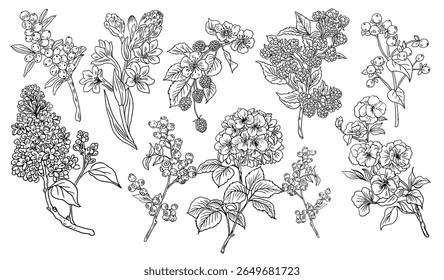 Colección de hojas, ramas y flores de Elementos florales dibujados a mano en estilo botánico lineal. Ilustración de contorno de Vector para diseño de Boda, tatuajes y decoración