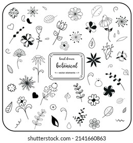 Colección de elementos botánicos vectoriales a mano (hojas, flores, remolinos). Perfecto para invitaciones, tarjetas de felicitación, citas, blogs, afiches. Negro y blanco