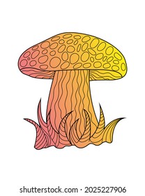 Collection of hand sketches of doodles of mushrooms. Vector sketches of autumn forest plants. Design element for print, label, logo, packaging, template, badge, book, coloring book.