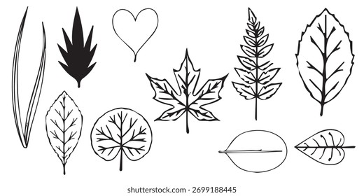 A collection of hand-drawn black and white illustrations featuring various types of leaves and a single heart. The set includes different leaf shapes, from simple outlines to a solid silhouette.