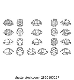 A collection of hand-drawn black and white illustrations showing various turtle and tortoise shell patterns and shapes from different angles.