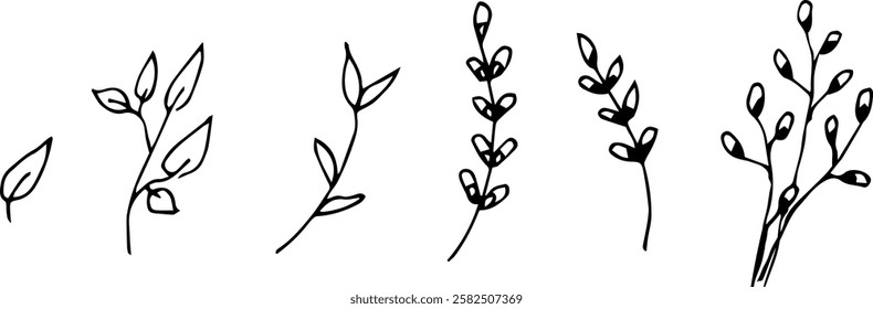 A collection of hand-drawn botanical branches with small leaves and buds. Simple black line art, perfect for nature-themed designs and illustrations.  