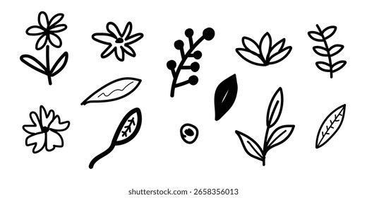 A collection of hand-drawn botanical elements in black outline on a white background.