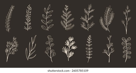 Collection of hand-drawn botanical illustrations. Delicate botanical sketches of leaves and branches. Perfect for botanical-themed designs and projects. Cute leaf illustrations, vector set.