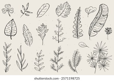 Collection of hand-drawn botanical leaves. Various leaf shapes, line art style. Nature-inspired leaf illustrations, simple and elegant botanical designs. Cute leaf illustrations, vector set.