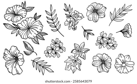 A collection of hand-drawn botanical line art featuring flowers, leaves, and wildflowers.Vector illustration