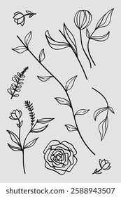 A collection of hand-drawn botanical line art featuring flowers, leaves, and wildflowers.Vector illustration