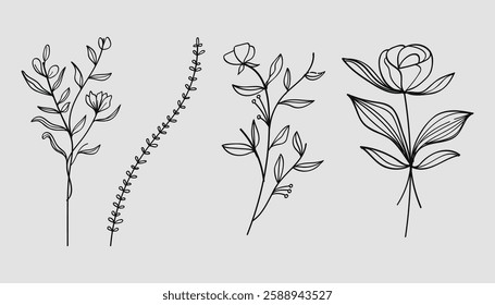 A collection of hand-drawn botanical line art featuring flowers, leaves, and wildflowers.Vector illustration.