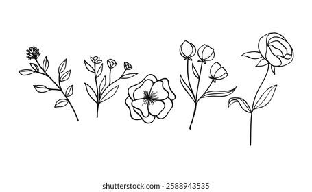 A collection of hand-drawn botanical line art featuring flowers, leaves, and wildflowers.Vector illustration.