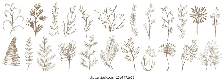 Collection of hand-drawn botanical sketches featuring various plants and leaves. Delicate botanical designs in a minimalist style. Botanical art for decor. Botanical illustrations vector set.