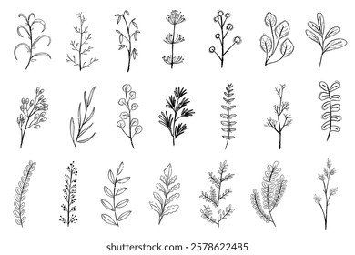 Collection of hand-drawn botanical sketches. These botanical illustrations feature various plant designs. Perfect for botanical-themed projects and nature lovers. Cute leaf illustrations, vector set.