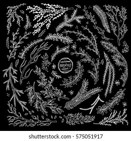 Collection of hand-drawn branches. Vector illustration
