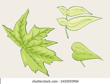 Collection of hand-drawn colorful vector illustrations. Vector graphic set.