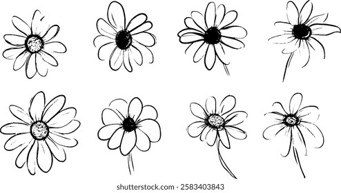 A collection of hand-drawn daisy flowers in various styles and orientations, showcasing their unique shapes and details.