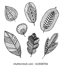 Collection of hand-drawn decorative leaves