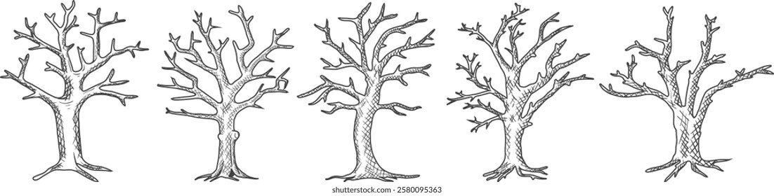 A collection of hand-drawn dry tree logos with various shapes in an ancient style