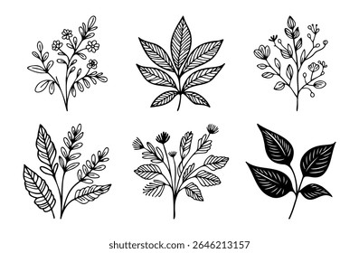Kollektion handgezeichneter Blumenelemente