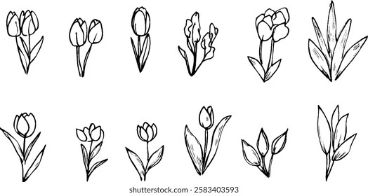 A collection of hand-drawn floral illustrations featuring various types of tulips and other flowers. Each flower is depicted with simple lines and details, showcasing their unique shapes and forms.