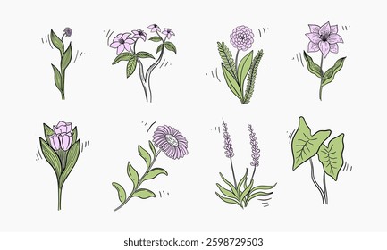 collection of hand-drawn floral illustrations featuring several different flowers and plants.