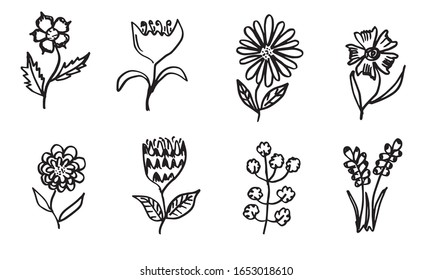 a collection of hand-drawn flower images such as bellflower, chrysanthemums, sunflowers, cotton flowers, and tropical leaves
