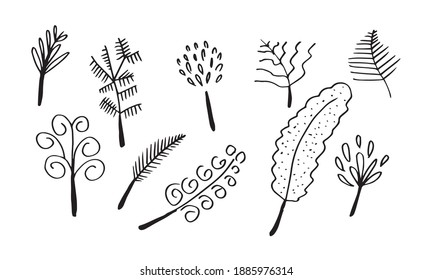 a collection of hand-drawn flower images such as bellflower, chrysanthemums, sunflowers, cotton flowers, and tropical leaves
