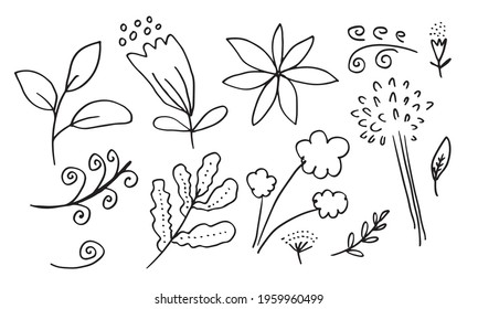 a collection of hand-drawn flower images such as bellflower, chrysanthemums, sunflowers, cotton flowers, and tropical leaves