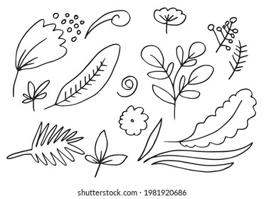 a collection of hand-drawn flower images such as bellflower, chrysanthemums, sunflowers, cotton flowers, and tropical leaves