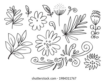 a collection of hand-drawn flower images such as bellflower, chrysanthemums, sunflowers, cotton flowers, and tropical leaves