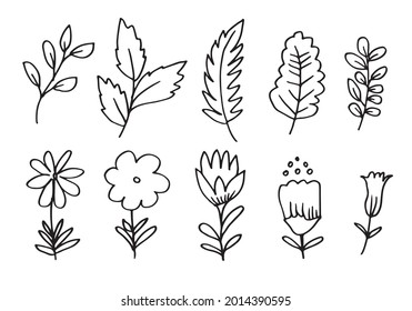 a collection of hand-drawn flower images such as bellflower, chrysanthemums, sunflowers, cotton flowers, and tropical leaves