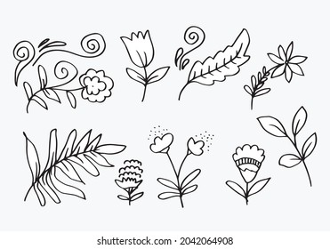 a collection of hand-drawn flower images such as bellflower, chrysanthemums, sunflowers, cotton flowers, and tropical leaves