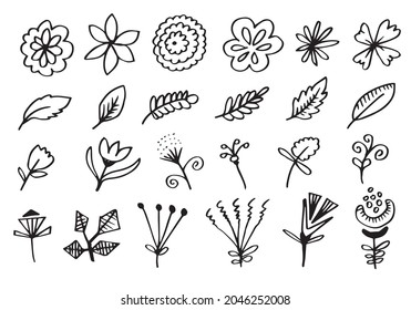 a collection of hand-drawn flower images such as bellflower, chrysanthemums, sunflowers, cotton flowers, and tropical leaves
