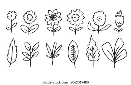 a collection of hand-drawn flower images such as bellflower, chrysanthemums, sunflowers, cotton flowers, and tropical leaves