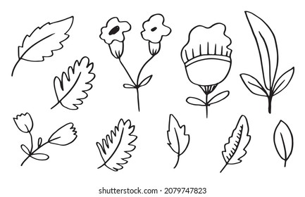 a collection of hand-drawn flower images such as bellflower, chrysanthemums, sunflowers, cotton flowers, and tropical leaves