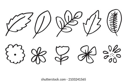 a collection of hand-drawn flower images such as bellflower, chrysanthemums, sunflowers, cotton flowers, and tropical leaves