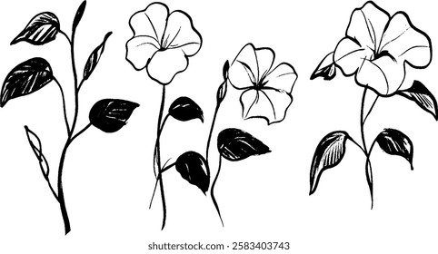 A collection of hand-drawn flowers with leaves, featuring three distinct flower designs. The illustrations are in black and white, showcasing a simple yet elegant style.