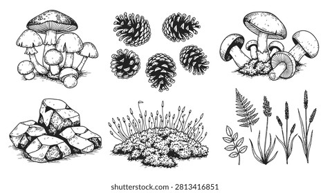 Collection of hand-drawn forest elements including wild mushrooms, pine cones, textured rocks, moss with sprouts, and botanical foliage like ferns and grass in a black ink sketch style.