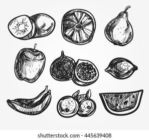 Collection of hand-drawn fruits vector illustration in vintage style.
