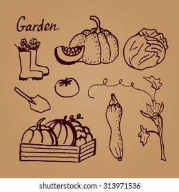 collection hand-drawn garden  of vector designs