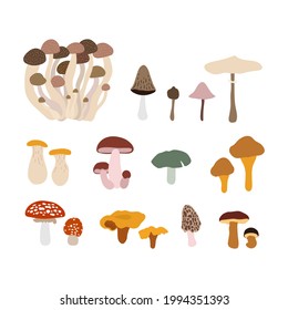 Collection of hand-drawn illustrated mushrooms. Flat organic style. Isolated on white background.