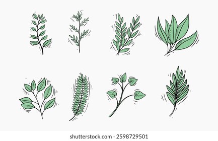A collection of hand-drawn illustrations featuring different types of green sprigs and leaves, arranged on white background.