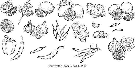 A collection of hand-drawn illustrations featuring fresh ingredients like limes, garlic, chilies, ginger, bell pepper, and figs. This graphic element is ideal for culinary blogs, recipe books, restaurant menus, or food-related marketing.