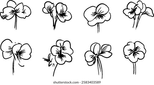 A collection of hand-drawn illustrations of flowers, showcasing various angles and styles. Each flower features delicate petals and stems, emphasizing artistic expression.