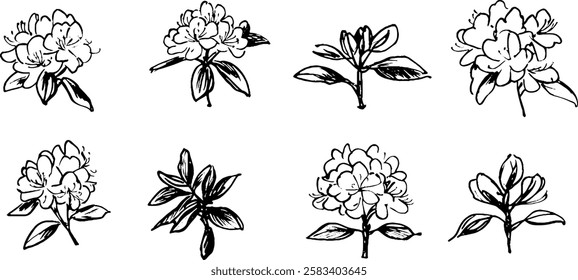 A collection of hand-drawn illustrations of flowers, showcasing various angles and details. Each flower features distinct petals and leaves, emphasizing artistic style.