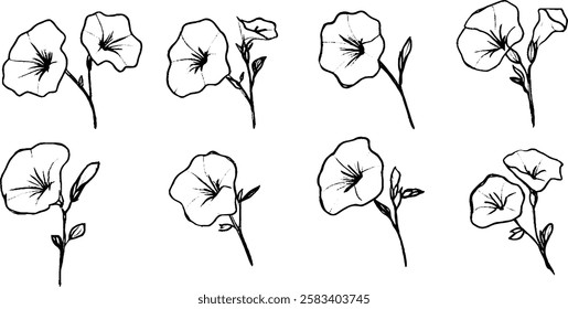 A collection of hand-drawn illustrations of petunia flowers, showcasing various angles and arrangements. The flowers are outlined in black with simple details, set against a white background.