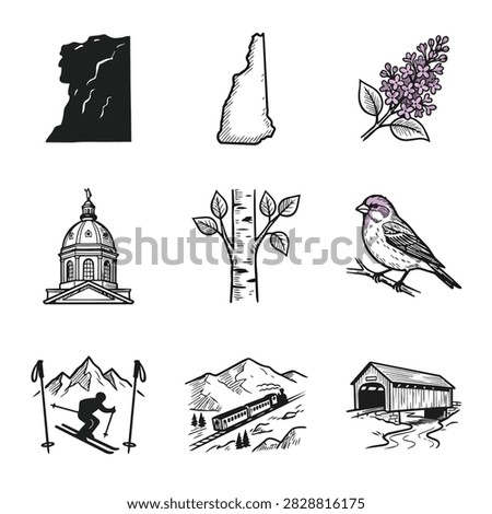 A collection of hand-drawn illustrations representing New Hampshire state symbols including Old Man of the Mountain, state outline, lilac, capitol building, birch tree, finch, skiing, train, and cove.